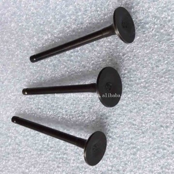 Engine Intake Exhaust Valve for Hafei Lobo/Naza/Brio/Micro Trend