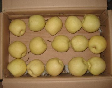 Fresh Su Pear