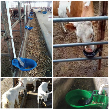 Water-Saving Automatic Plastic Cow Drinker for Livestock Equipment - Factory Direct