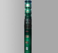 175QJ Motor Well Pumps