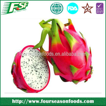 2014 Hot selling iqf dragon fruit price