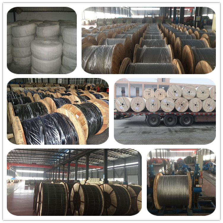 2 phase core flat cable concentric conductor cable XLPE insulated wire cable price list