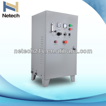 Global sales lead 20g ozone water disinfecting equipment