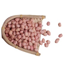 Geko Protein Snack Peanut for Mixed Nuts Ecommerce Products