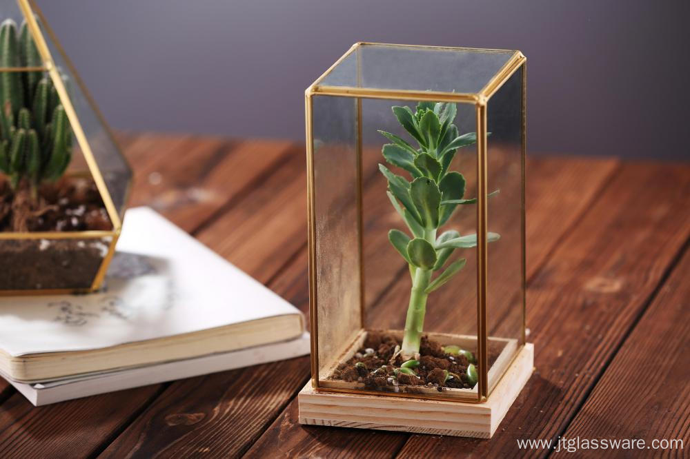 HandBlown Different Clear Glass Vase Terrarium Home