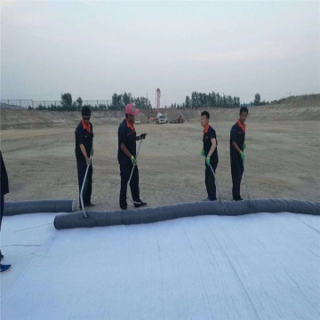 الصين بنتونايت طبقات أرضية إصطناعية كلاي لاينر Pe Flm Gcl المصنعين