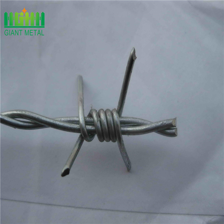 barbed wire cheap price