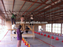 Ground Nipple Drinking System for Chicken