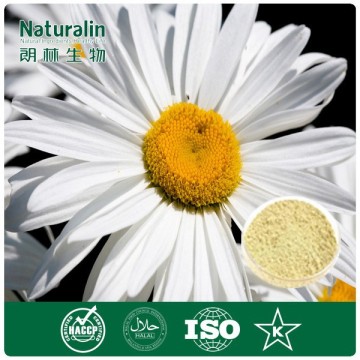 Chamomile Extract Powder