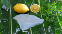 yellow fin sole filet