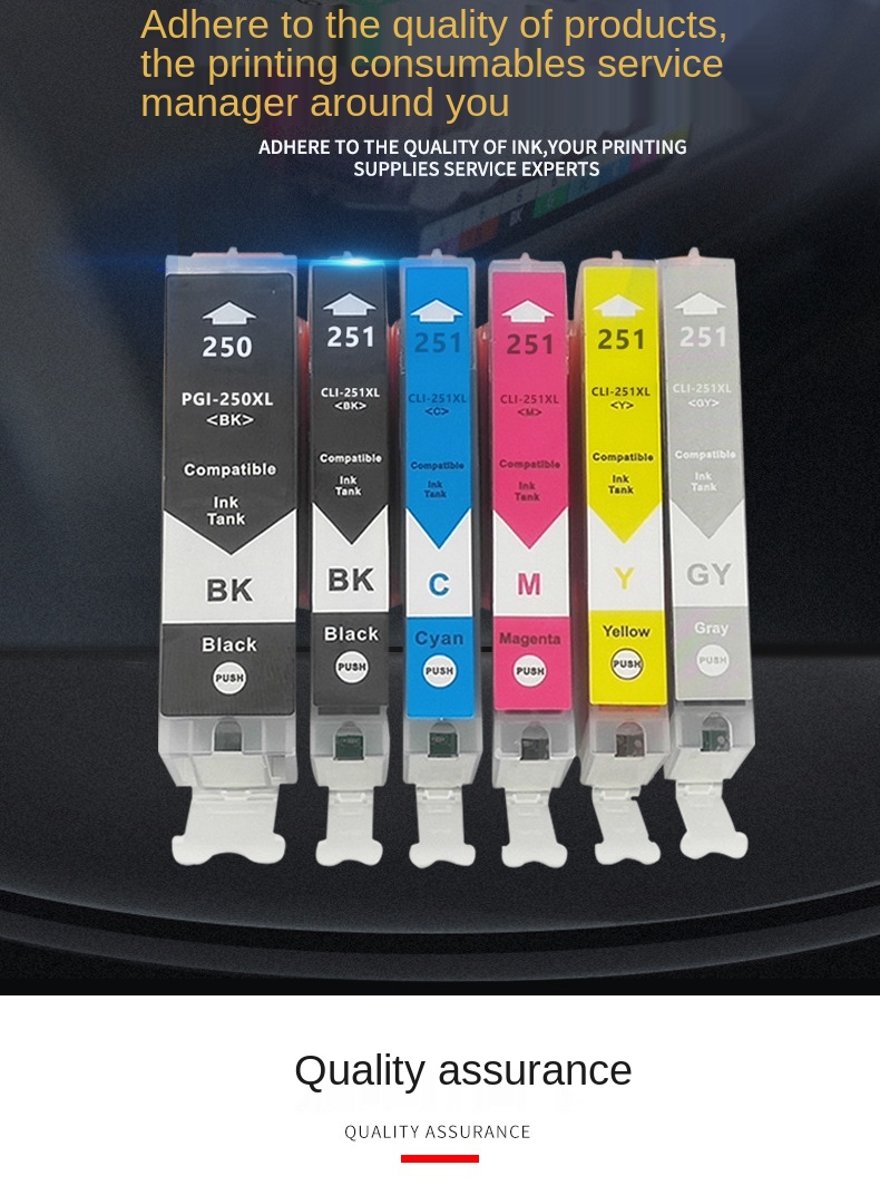 Compatible with Can PGI-250  CLI-251XLInk cartridge MG5420 MG5520 MG5522Printer ink cartridge Photo poster color print