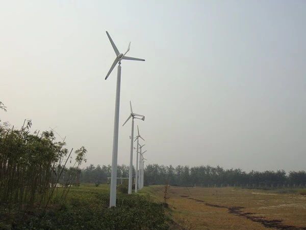 Wind Power Generator with 3 or 5 Blades for Home
