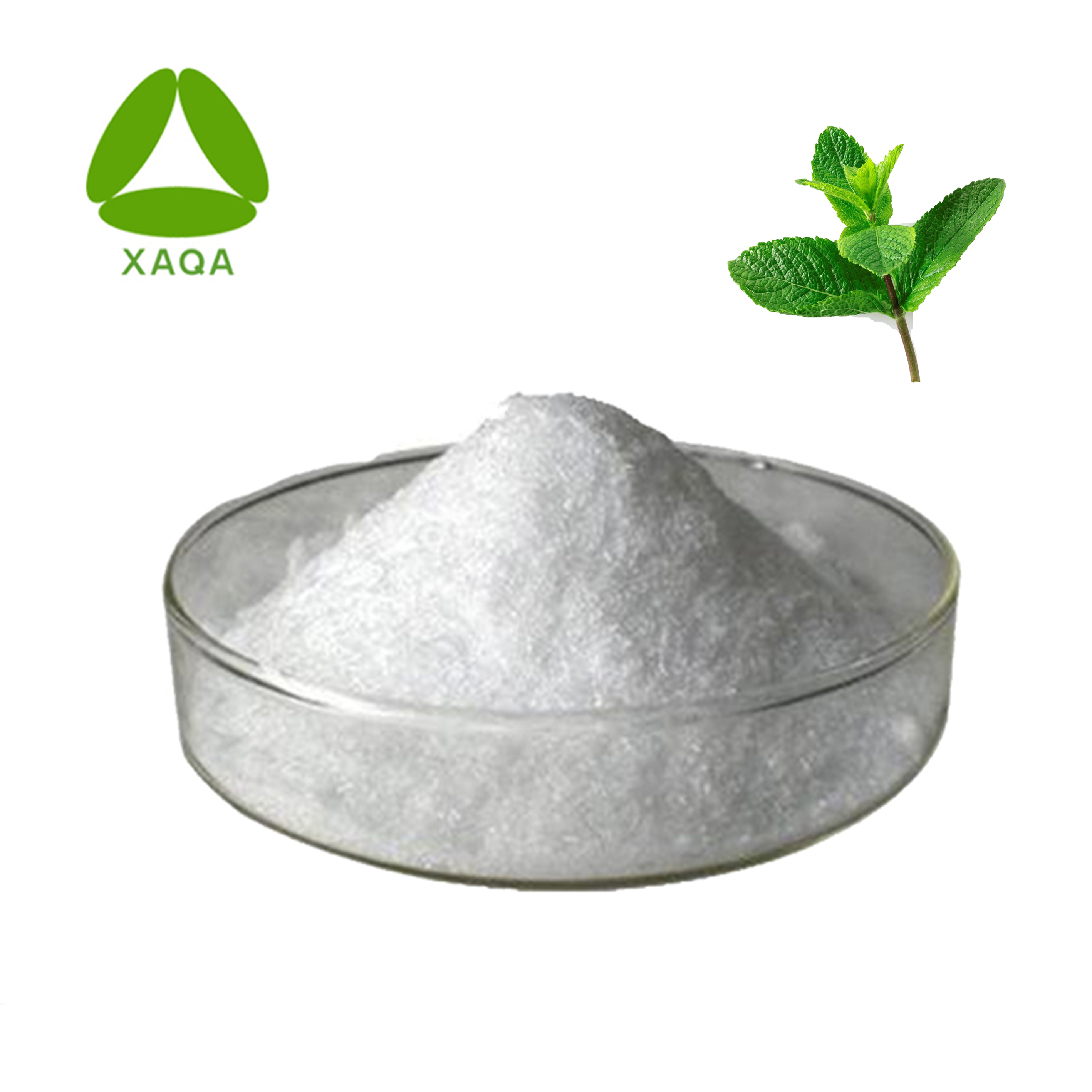 Peppermint Leaf Extract powder 
