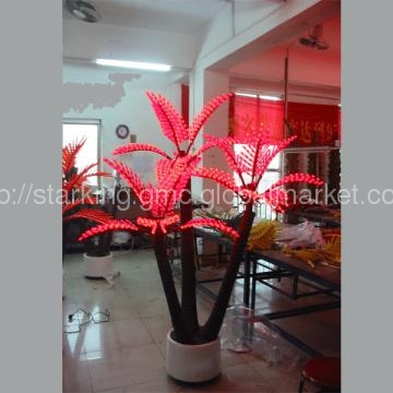 lighted coconut tree