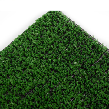 Carpet Grass Price for Golf