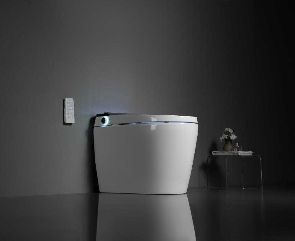 8305a 3smart Toilet