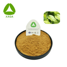 Stemonae Root Extract Stemonine Powder