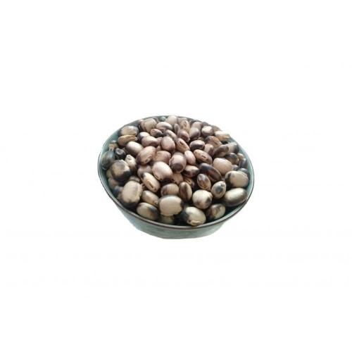 Mucuna Pruriens Extract 50%HPLC