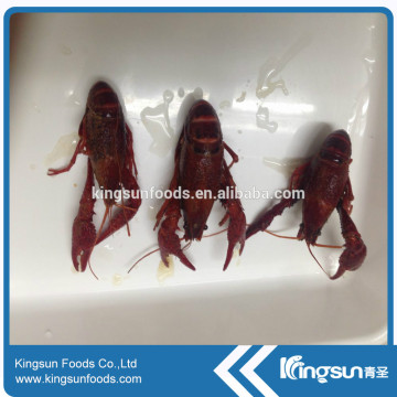 Frozen whole crawfish for sale