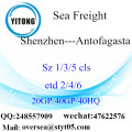 Transporte marítimo de carga del puerto de Shenzhen a Antofagasta