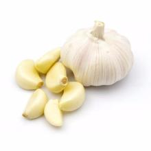 1kg Mesh Bag Small Packing Fresh Garlic