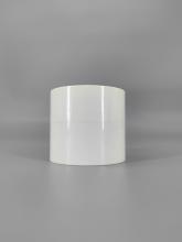 CPVC Repair Coupling Pipe Fittings