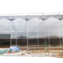 High Quality Low Cost Polycarbonate Greenhouse Materials for Sale
