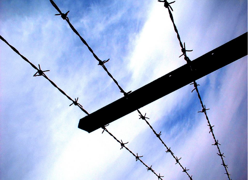 barbed wire (1 5)