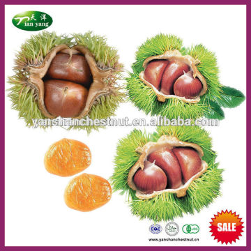 2015 Best Organic Chinese Fresh Raw Chestnuts - Organic Materials for Frozen Chestnuts