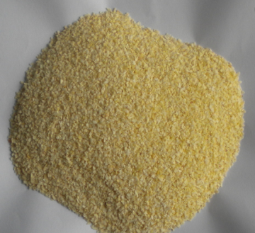 Export Typical Dehydrated Garlic Granules