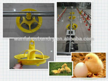 Automatic poultry equipment for Breeder/Broiler/chicken feeding system