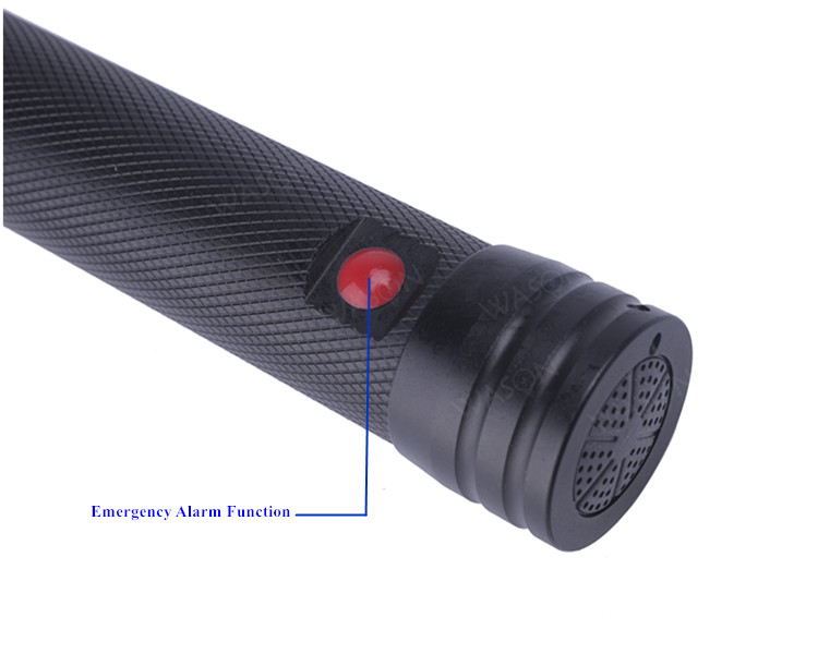 Professional Led Flashlight 