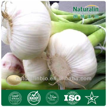 Pure Deodorized Garlic Extract 200:1