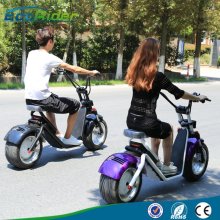 2 Wheel Citycoco Scooter Brushless 60V Harley Electric Scooter