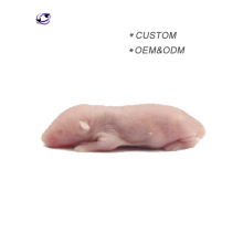 Frozen Pinky Mice and Rats for Sale as Feeder