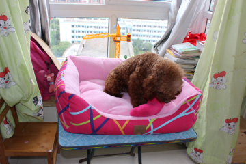 Pet Product Luxury warm pet dog beds with different color