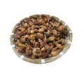 خلاصة Agaricus blazei 50٪ خلاصة فطر agaricus blazei