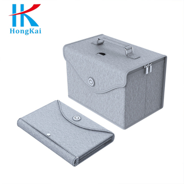 Portable light UV disinfection bag