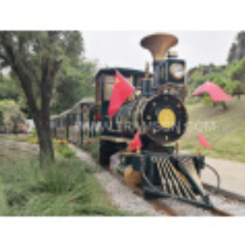 park discount electric track train for kids