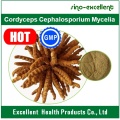 Cordyceps Cephalosporium Mycelia, Cordyceps Extract