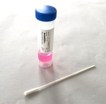 UTM/VTM 50ml Tube with Swabs with FDA