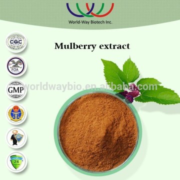 mulberry leaf extract free sample HACCP FDA made in China supplier lower blood sugar DNJ polysaccharides mulberry extract powder