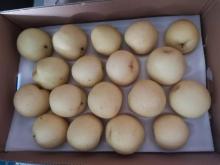 Fresh Gloden Crown Pear