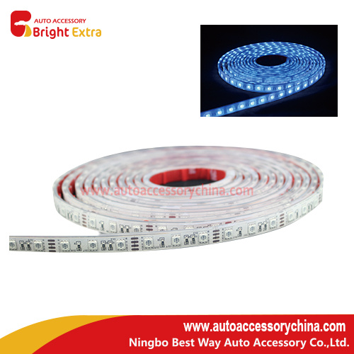 Auto Led Strip 12v