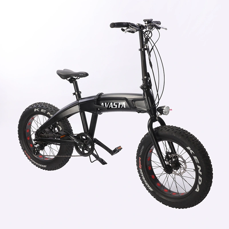 20′ ′ Fat Tire External 7 Speeds Electric Folding Bike 36V 250W