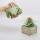 Mini pelbagai succulents palsu hijau dalam periuk