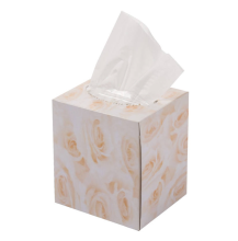 Hotel Soft 2Ply Cube Box Facial Tissue Paper