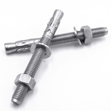 Stainless Steel Expansion Wedge Anchor Bolts M10 M16 M24