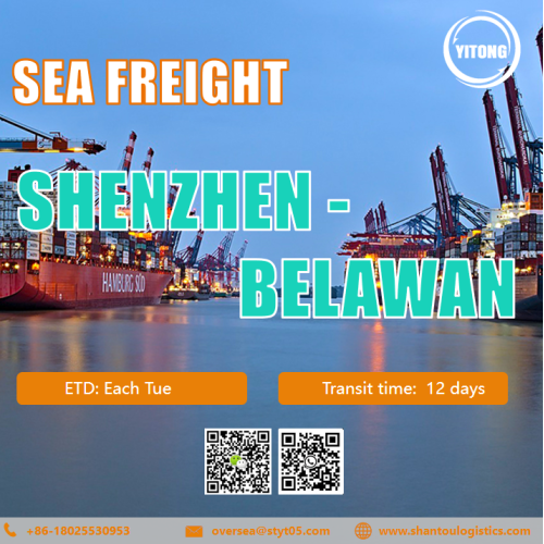 Freight di mare internazionale da Shenzhen a Belawan Indonesia