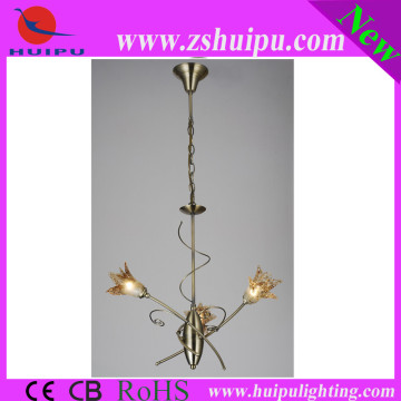 2013 Specail design chandelier